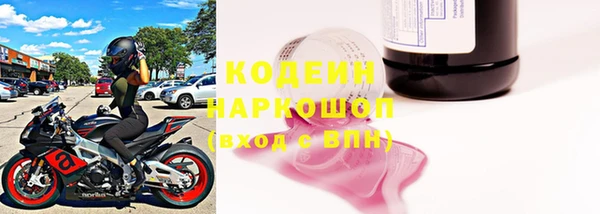 прущие грибы Козельск