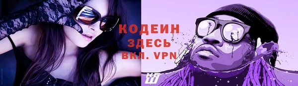 прущие грибы Козельск