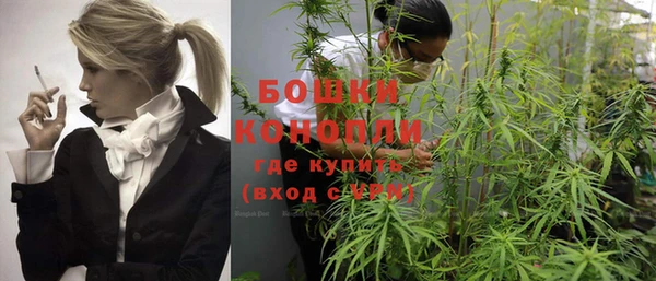 прущие грибы Козельск