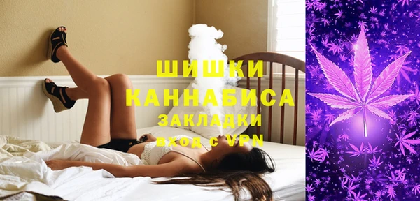 прущие грибы Козельск