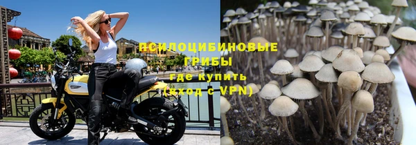 mdpv Кодинск