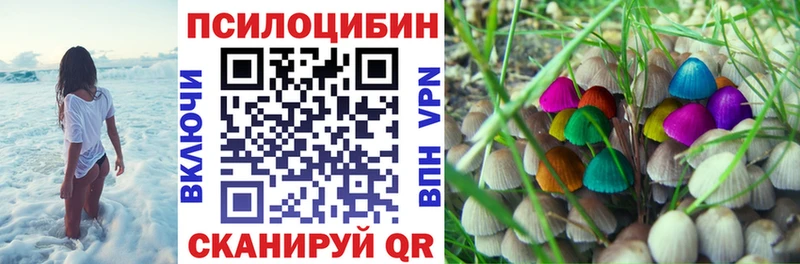 Псилоцибиновые грибы прущие грибы наркота гидра как войти Прокопьевск